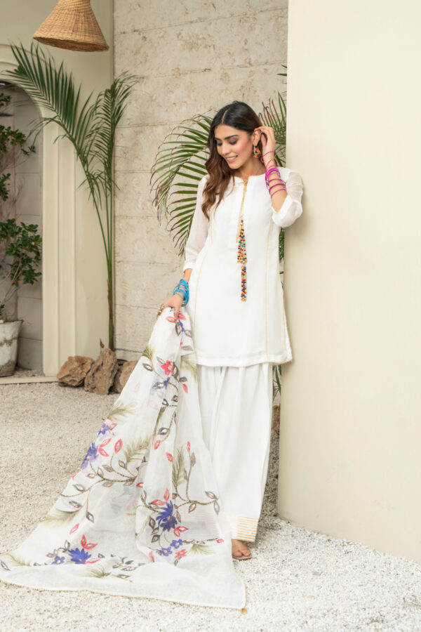 Noor-e-nazakat - Image 2